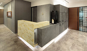 圣心美容诊所 银座院